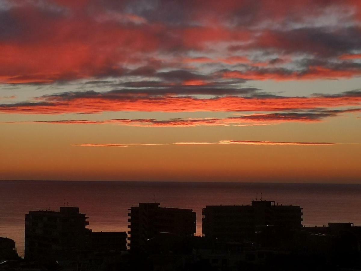 Apartment Granada 302 Pool&Beach 托雷维耶哈 外观 照片